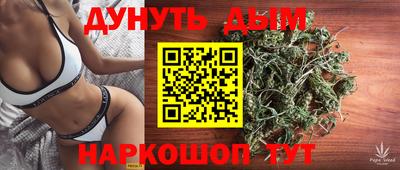 мдпв Славгород