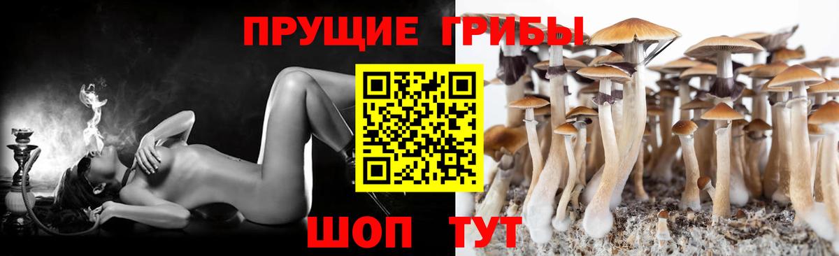 Петропавловск-Камчатский  Галлюциногенные грибы MAGIC MUSHROOMS  Вход с VPN 